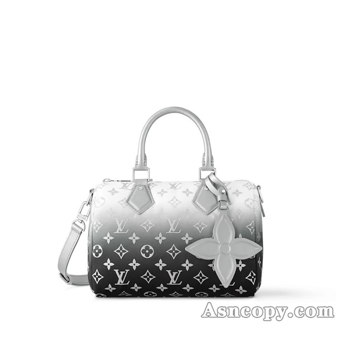 ルイヴィトンモノグラム・ナイロンスピーディ・バンドリエール 25ショルダーバッグ M11848フロスト